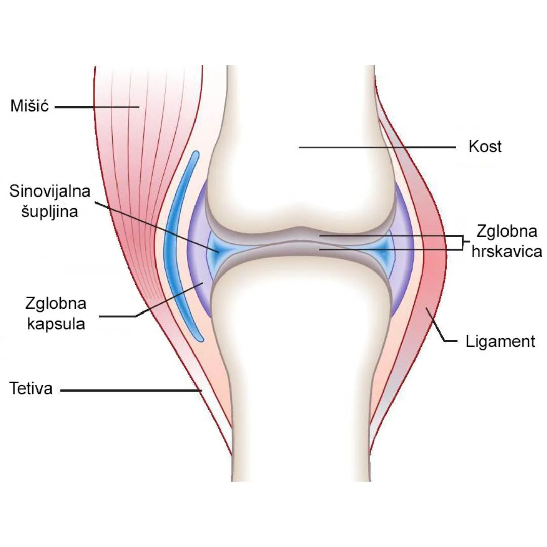 Medisana AlpenFlex Complex 40 Tableta za Zdravlje Zglobova i Hrskavice