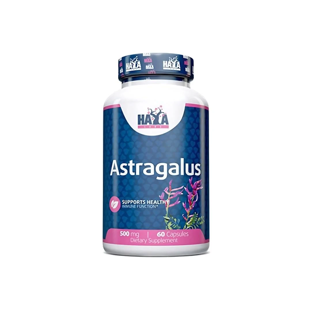 Astragalus 500 mg 60 Kapsula Adaptogen