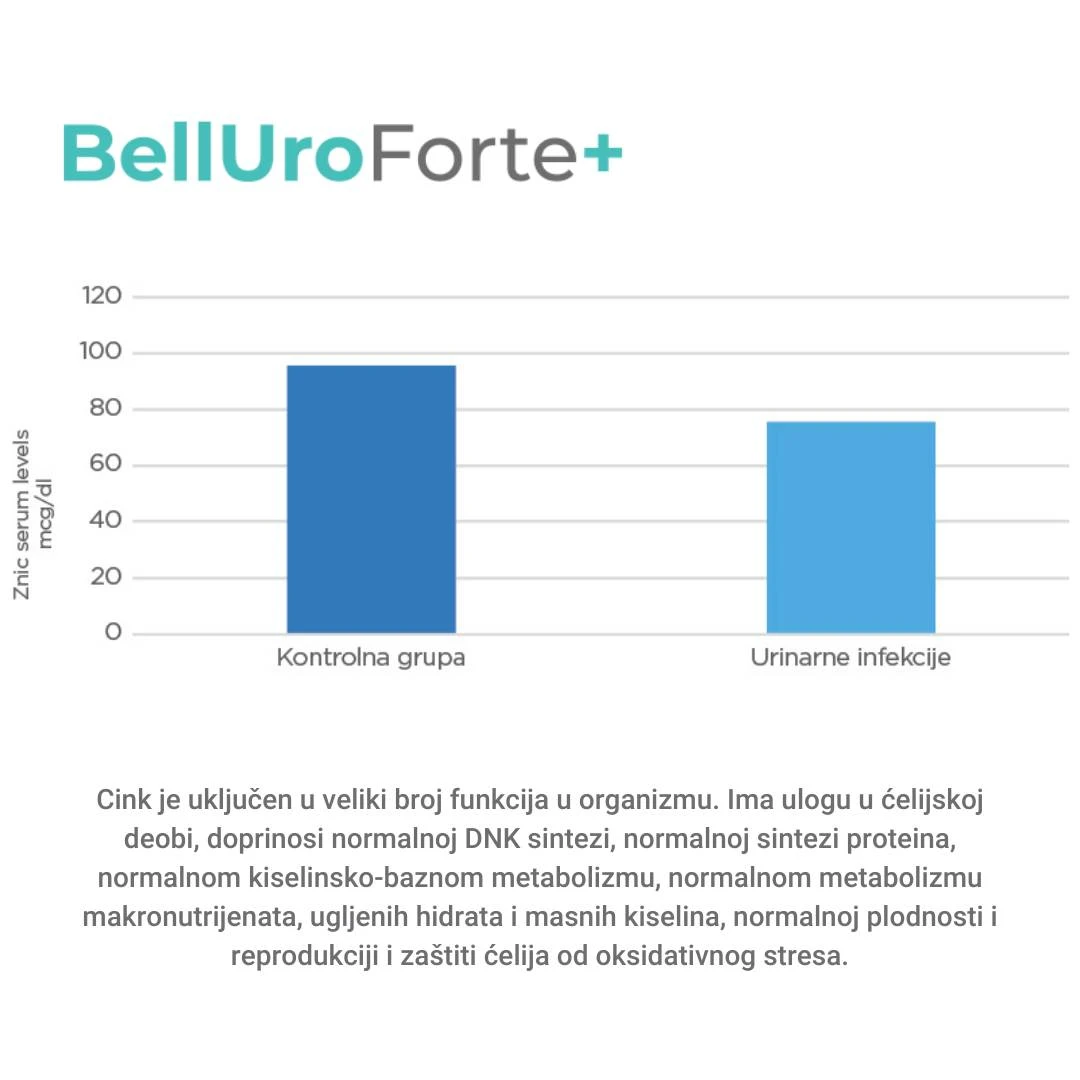 Belluro Forte Plus 30 Tableta sa Uvom, Kukuruznom Svilom i Bosvelijom za Urinarne Infekcije