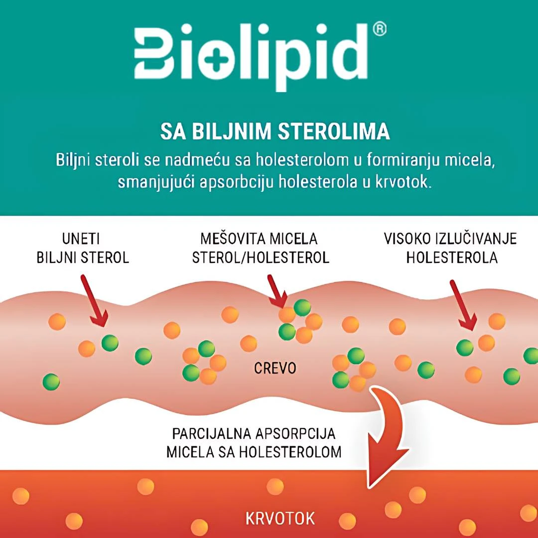 Biolipid 10 Kesica za Regulaciju Nivoa Holesterola i Triglicerida u Krvi