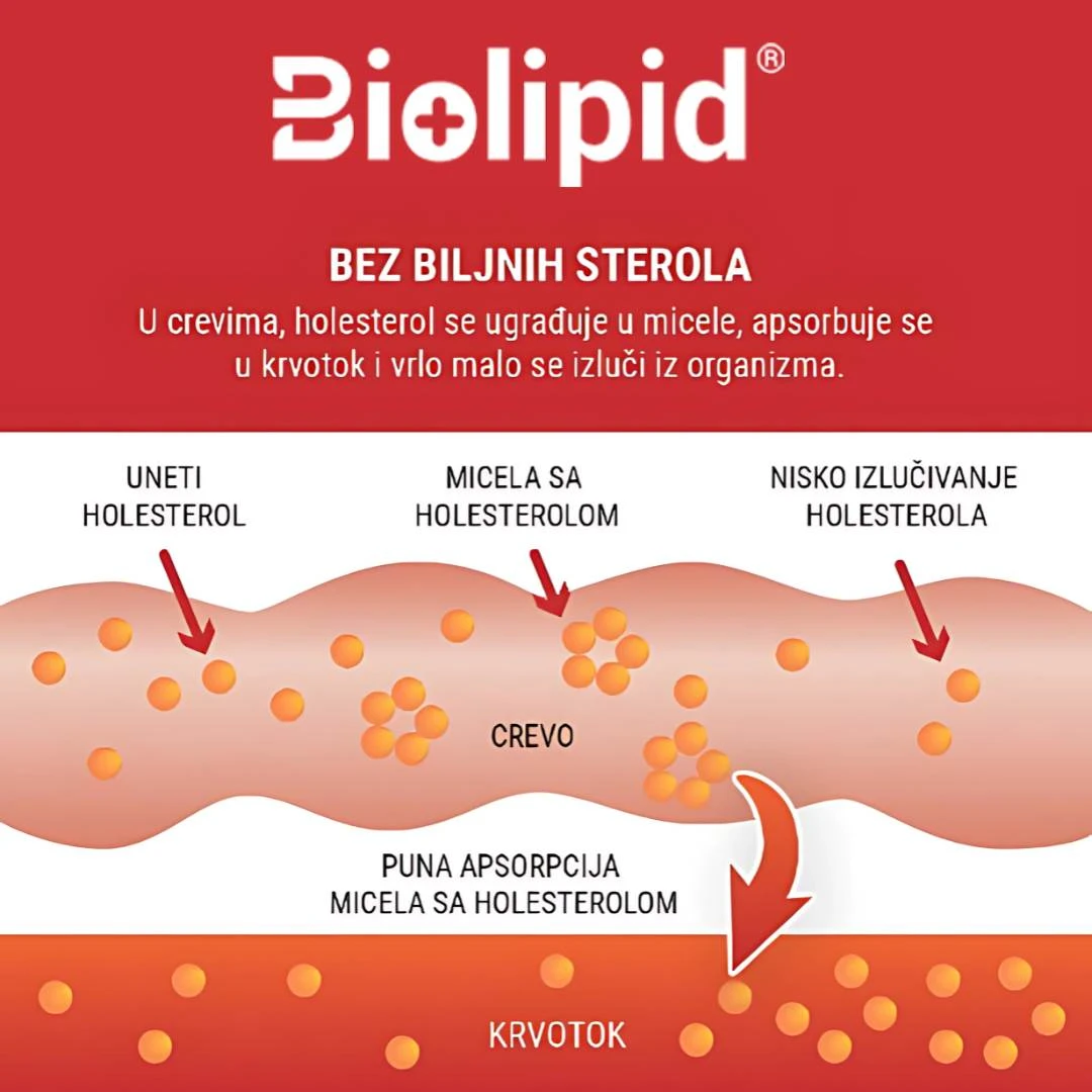 Biolipid 10 Kesica za Regulaciju Nivoa Holesterola i Triglicerida u Krvi