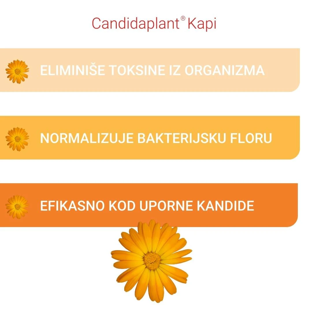 Candidaplant® Kapi za Kandidu 100 mL