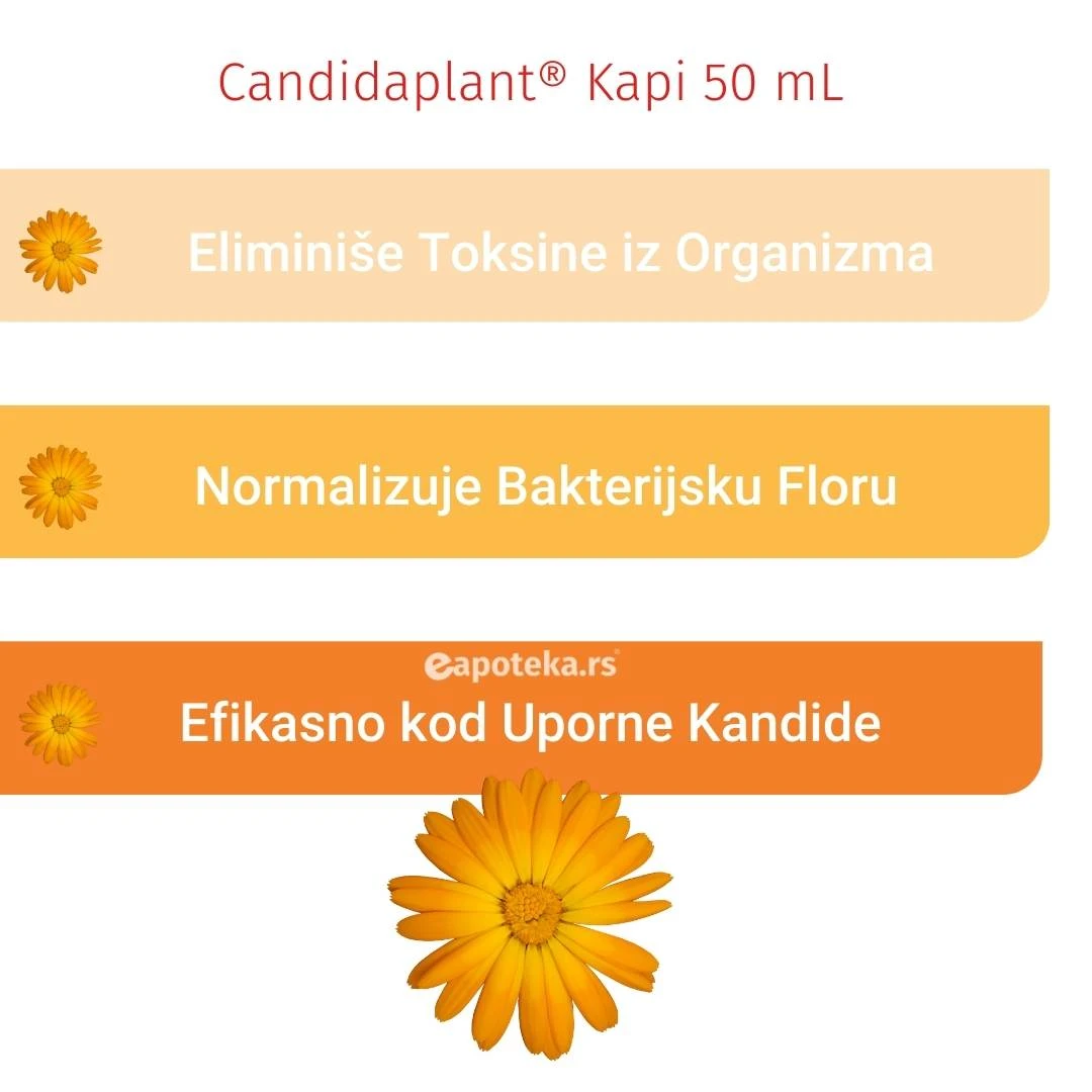 Candidaplant® Kapi za Kandidu 50 mL