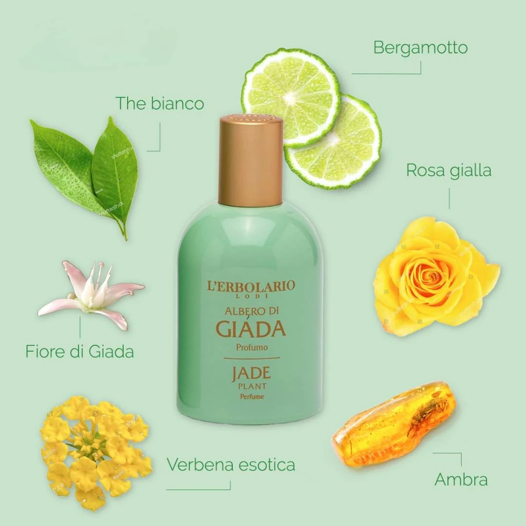 LERBOLARIO Parfem Albero di Giada 50 mL