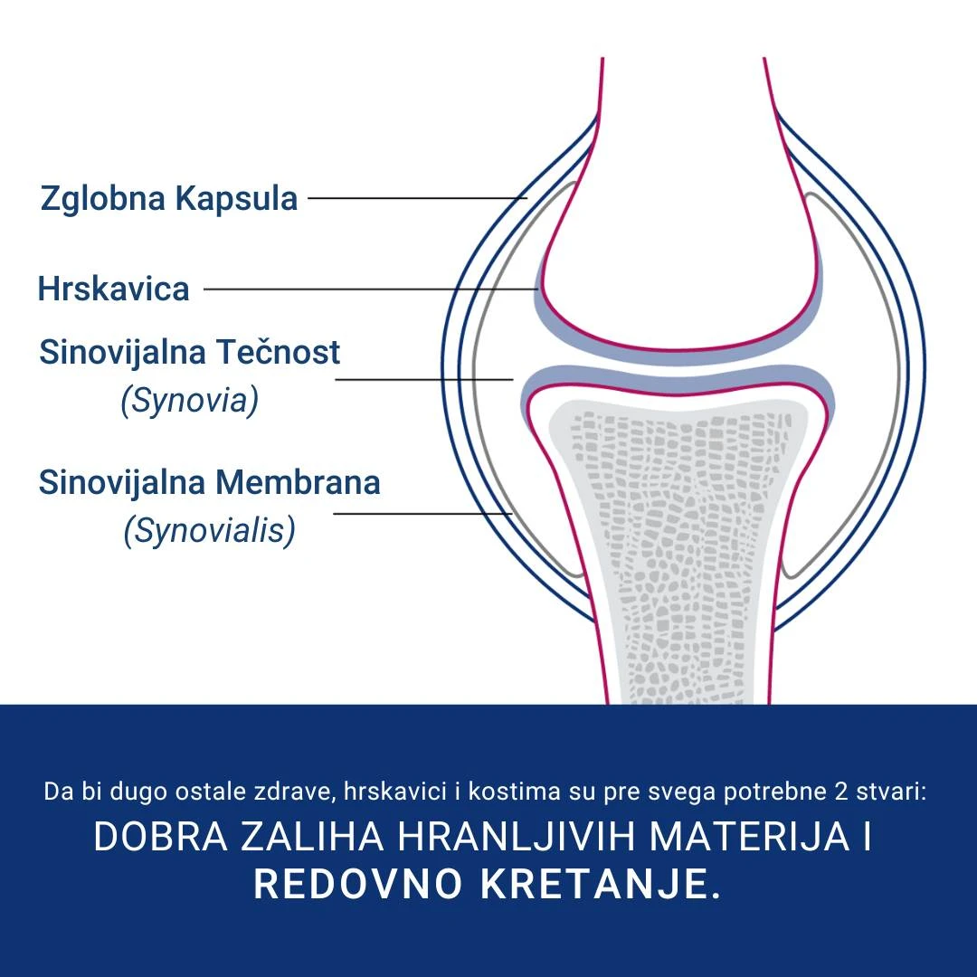 Orthomol ArthroPlus za Regeneraciju Hrskavice 30 Doza