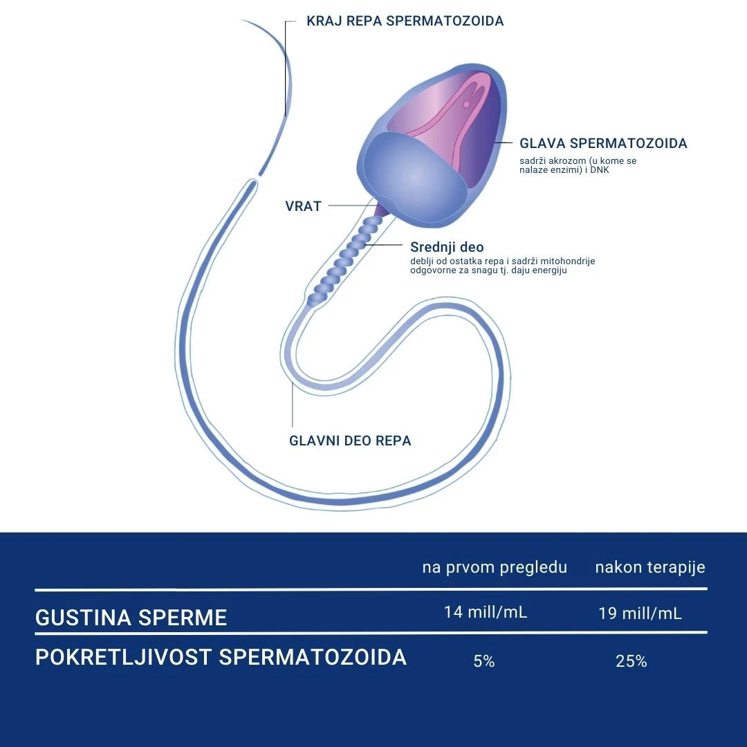 Orthomol Fertil Plus 30 Doza za Pokretljivost Spermatozoida i Mušku Plodnost